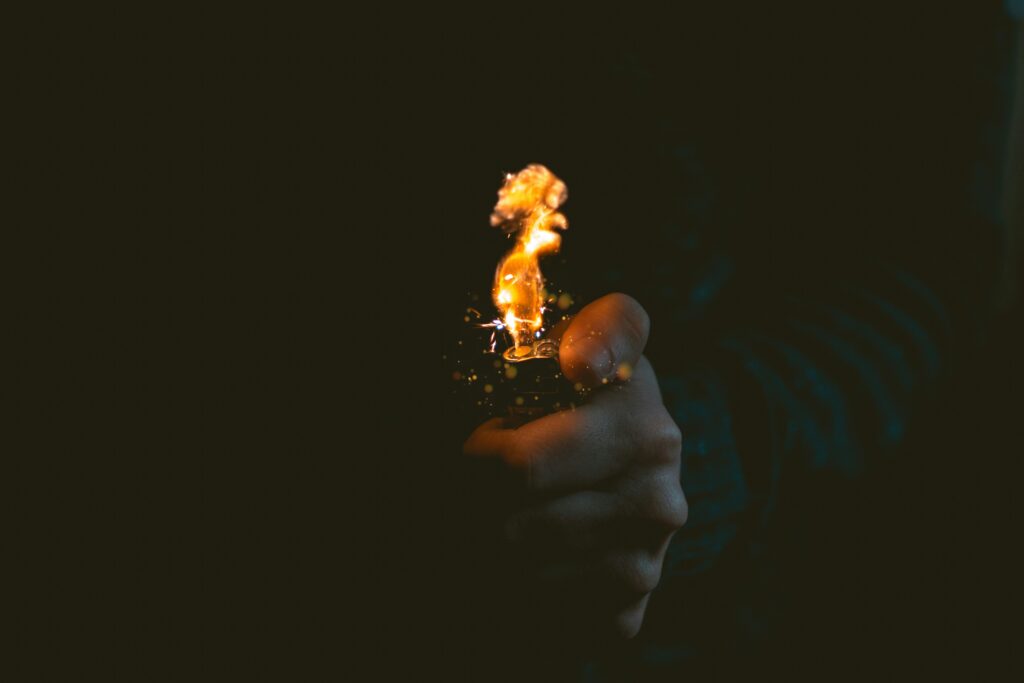 Police Link Teenager to Forest Blazes