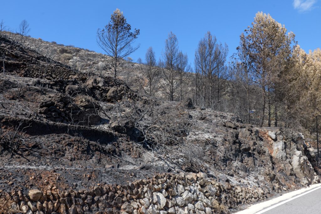 Rising Heat Intensifies Fire Risks