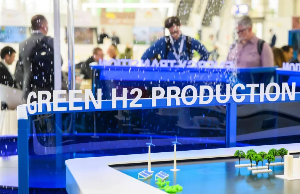 Germany Hydrogen Rules Push Seeks EU Reform