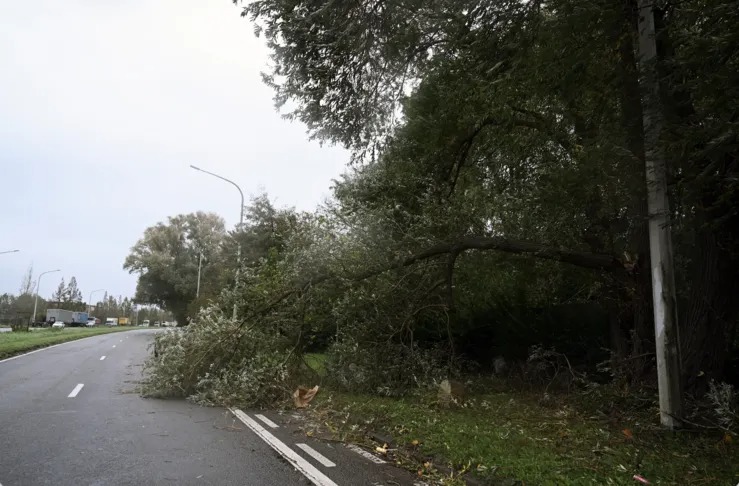 Brussels Storm Austen Disruption Hits Daily Travel